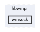 winsock